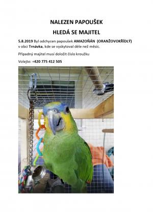 Majitel papouška stále nenalezen 