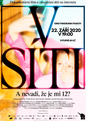 V síti