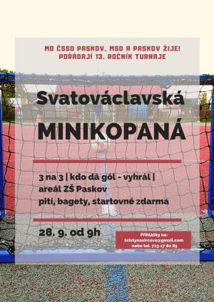 Minikopaná