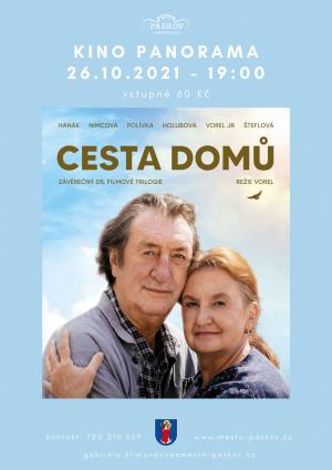Cesta domů