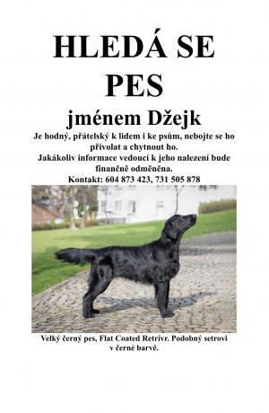 plakát