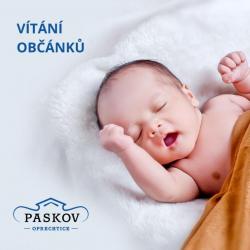 ilustrační obrázek